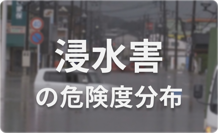 浸水害の危険度分布