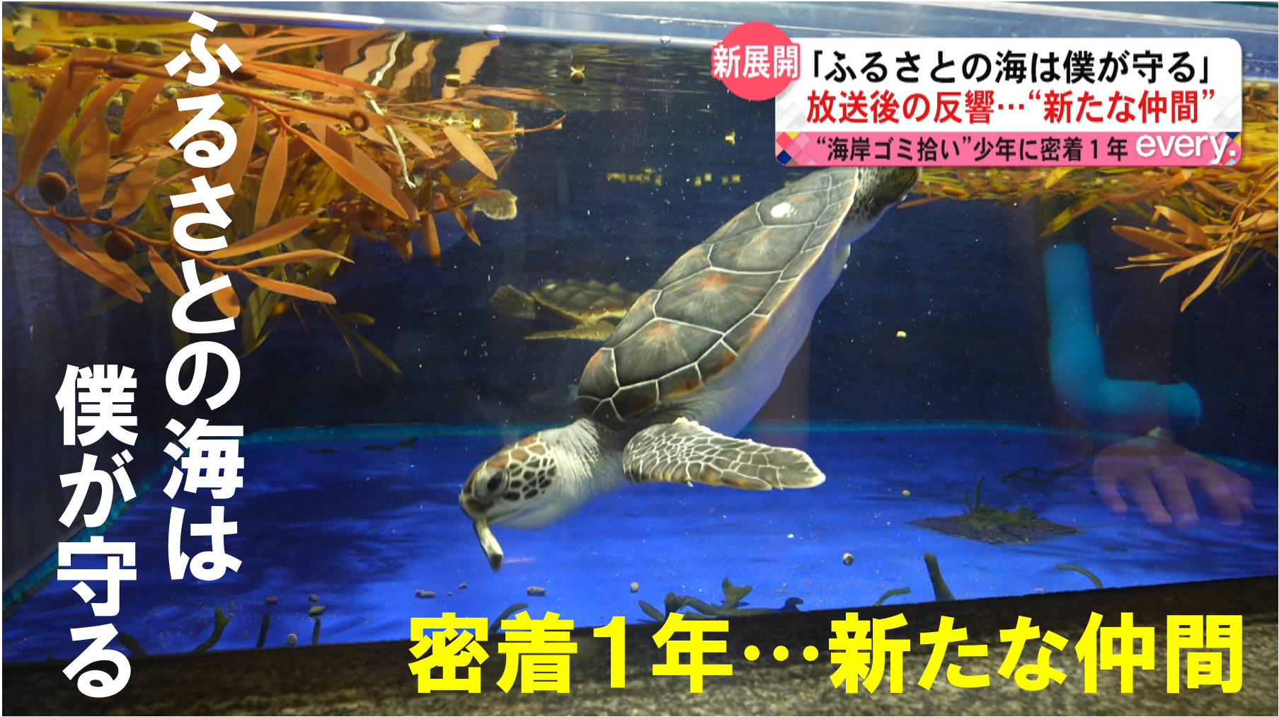 ふるさとの海は僕が守る③