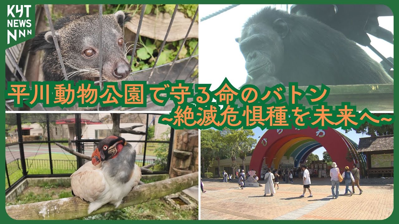 平川動物公園で守る命のバトン~絶滅危惧種を未来へ~