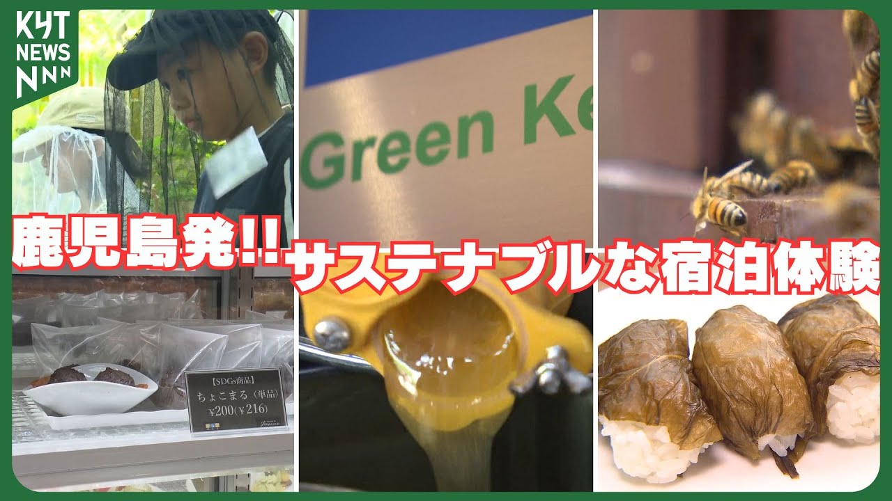 環境にやさしい宿泊体験 鹿児島発・持続可能な宿泊のかたち