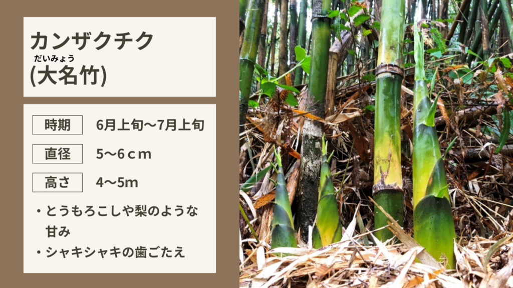 KYT 鹿児島讀賣テレビ