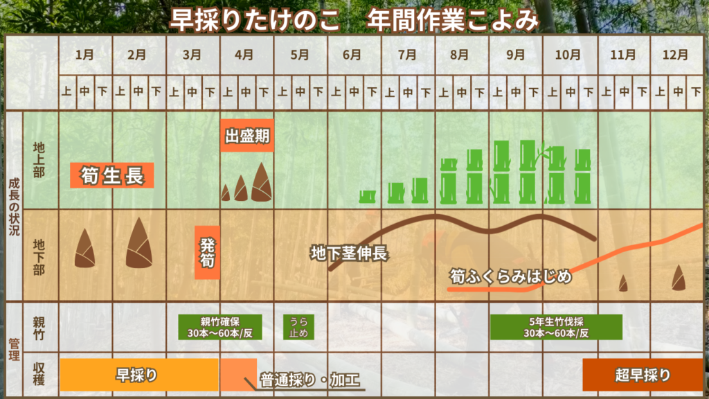KYT 鹿児島讀賣テレビ