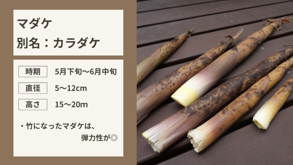 KYT 鹿児島讀賣テレビ