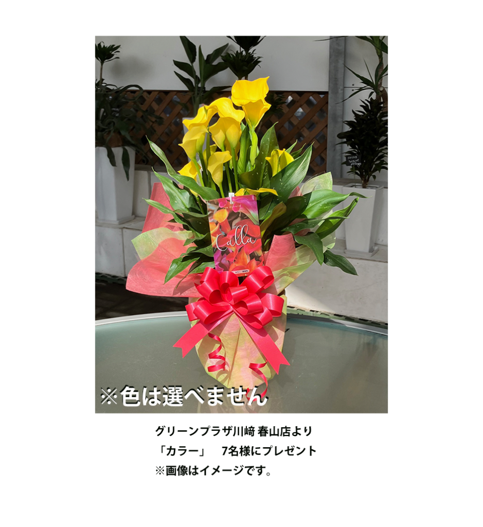 グリーンプラザ川﨑プレゼント